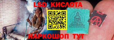 шишки Обнинск