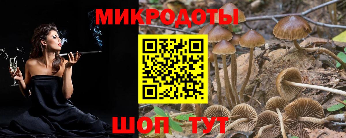 Алатырь  Псилоцибиновые грибы мицелий  Вход с VPN 