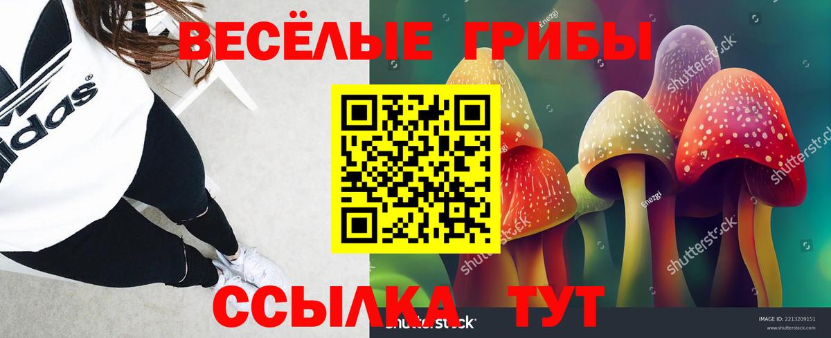 Псилоцибиновые грибы Cubensis Алатырь